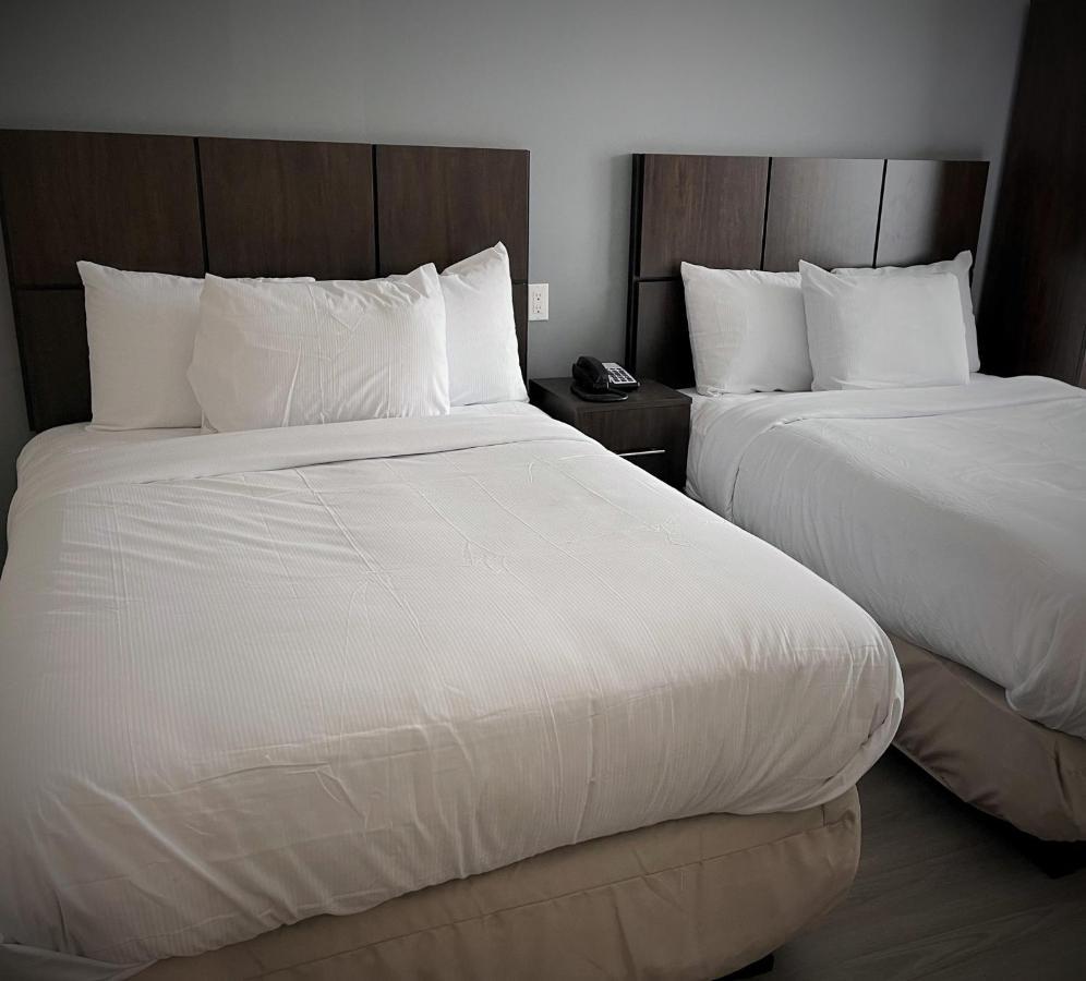 Hotel 21 Nyc نيو يورك المظهر الخارجي الصورة